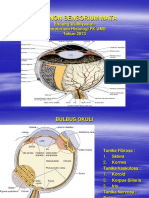 Kuliah Histologi Sistem Indra Visus