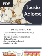 Tecido adiposo