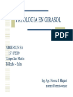Patologia en Girasol - Norma Hughet.pdf