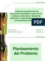 Presentacion Tesis 1.ppt