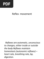 Reflex Movement.pptx