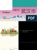 Weather Project Wuhan