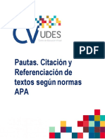 Pautas Norma Apa (1)