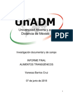 Informe Final