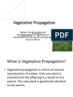 Vegetative Propagation Cape Biology