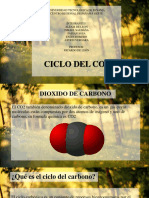 Ciclo Del Co2