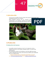 crianza+de+gallinas+ponedoras.pdf