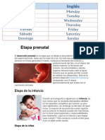 Etapa prenatal.docx