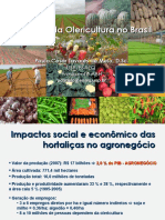 Situação da Olericultura no Brasil