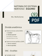 Anatomiadosistemanervoso Equino 171126181717 PDF