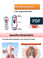 Sistema Respiratório.pdf