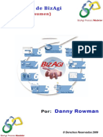Manual de BizAgi Process Modeler