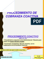 Cobranza Coactiva