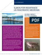 Breeding Salmon For Resistance To Infectious Pancreatic Necrosis