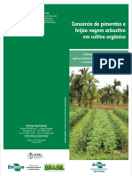 Consórcio de Pimentão e Feijão Vagem Arbustivo em Cultivo Orgânico