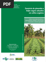 Consórcio de Pimentão e Feijão Vagem Arbustivo Em Cultivo Orgânico