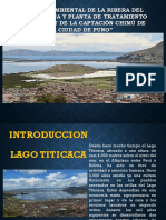 EXPOSICION IMPACTO.pdf