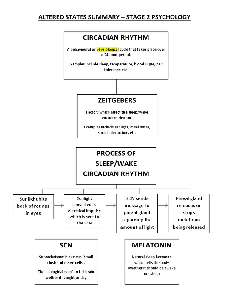 Circadian Rhythms and Sleep Disorders Guide | PDF | Circadian Rhythm ...
