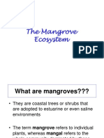 Mangrove_handout_2015-16.ppt