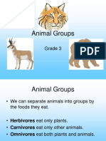 AnimalGroups by Food