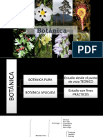BOTANICA CLASE 1 Introduccion a la botanica pura y aplicada.pptx