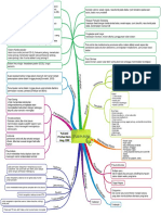 Mind Maping Efusi-Pleura-Yulianti PDF