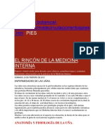 Circulacion en Pies