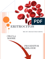 ERITROCITOS