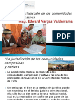Jurisdicción especial comunal en la Constitución peruana de 1993