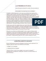 Adiestramiento De Perros.pdf