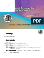 9. Malformatii Congenitale Ale Esofagului - Print