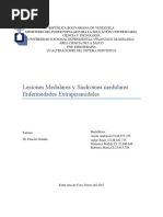Lesiones y Síndromes Medulares (2)