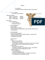 CEREBELO - Resumen