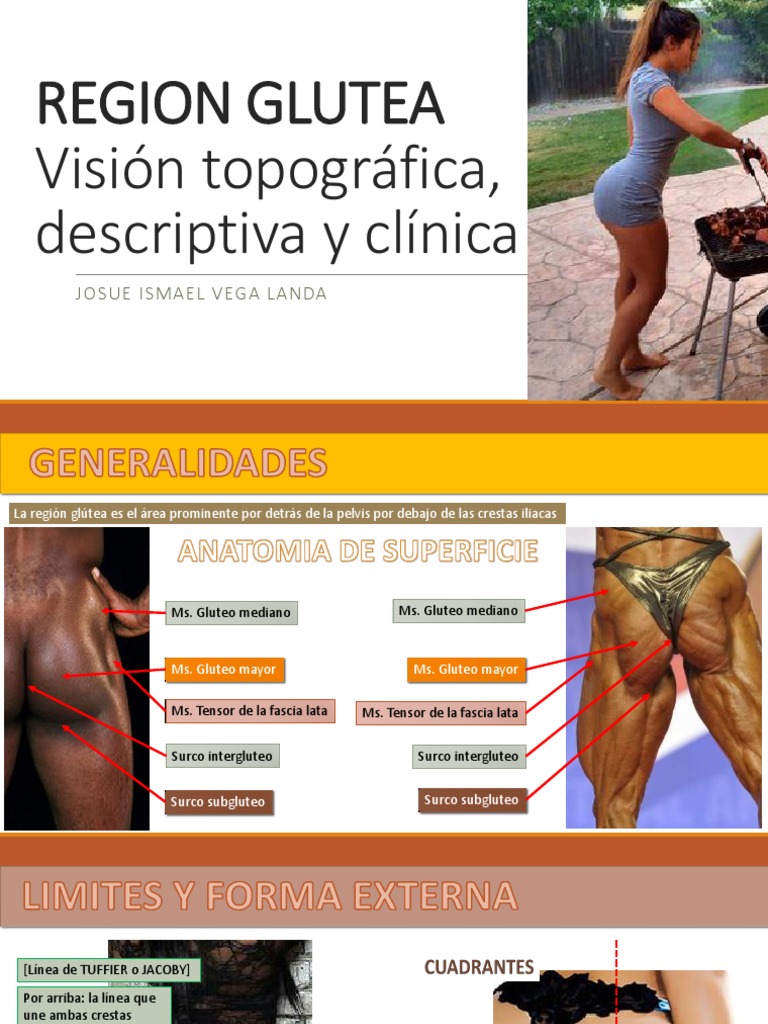 Anatomía de la Región Glútea | PDF | Nalgas | Cadera, image size:768x1024