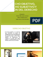 D Objetivo Subjetivo y Division - PPTX - Examen