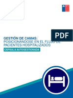 Contenido PDF Cápsula Gestión de Camas-1