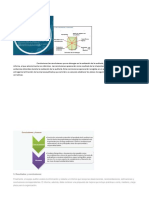 auditoria ambiental exposicion