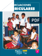 Adecuaciones Curriculares