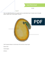 worksheet-what-are-the-parts-of-a-seed  1 