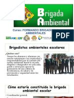 Brigadistas Escolares