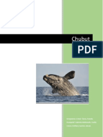 Chubut PDF