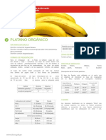 banano.pdf