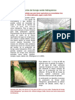 Produccion de forraje verde hidroponico IMPRIMIR.pdf