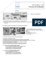 Processos de Fossilização