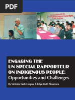 UN Special Rapporteur for IPs