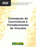 Concepção de Convivência e Fortalecimento de Vinculos