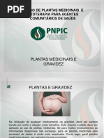 OK Plantas e Gravidez.ppt