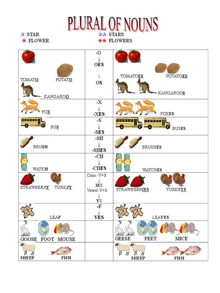 Rules for Forming Plurals in English PDF