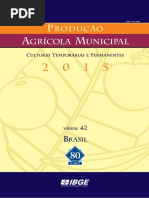 Aula 14 IBGE Pam 2015 v42 Br