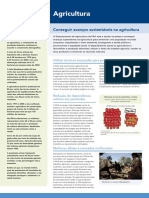 Agricultura: Conseguir Avanços Sustentáveis Na Agricultura